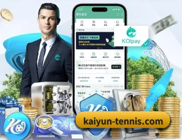 开云体育入口 APP
