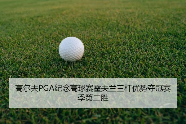 gao-er-fu-ji-nian-gao-qiu-sai-huo-fu-lan-san-gan-you-shi-duo-guan-sai-ji-di-er-sheng-2-713.jpg